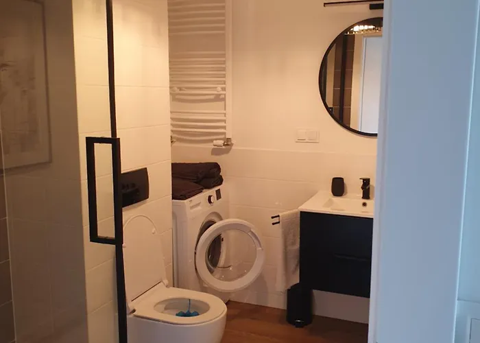 Lux Free Parking Апартаменты Лешно